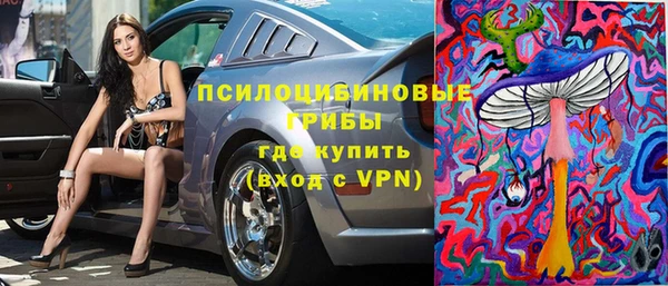мяу мяу мука Пестово