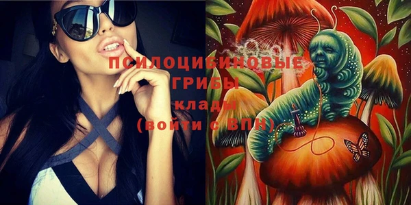 прущий лед Арсеньев
