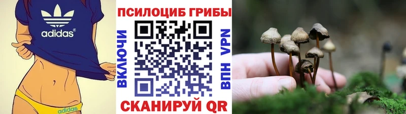 Псилоцибиновые грибы прущие грибы  Усть-Кут 